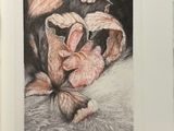 drawing of a couple of birds sitting on top of each other