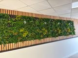 a picture of a living wall with plants growing on it