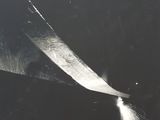 a black and white photo of a person using a large knife to cut a piece of paper