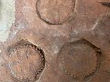 a piece of stone with holes in it on a table