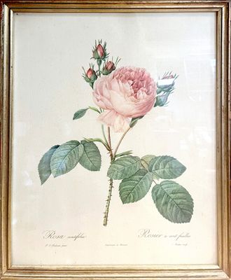 tableau représentant une rose rose avec des feuilles vertes, dans un cadre doré