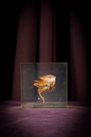 [ARTIFICIALIA] (photo 2)