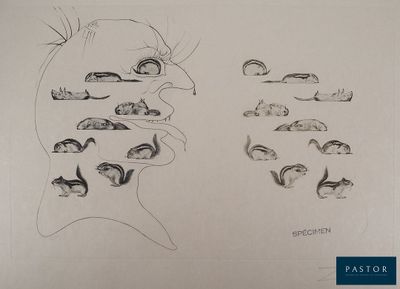dessin représentant le visage d'un homme avec ses différentes parties