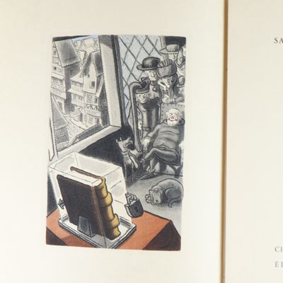 la photo d'un livre sur lequel figure la photo d'un chat