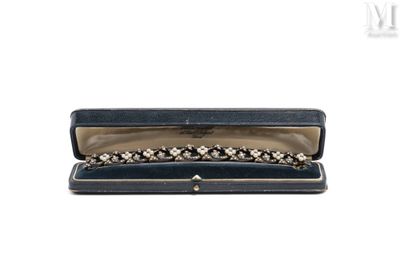 an image of an open case with a bracelet inside of it