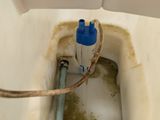 an image of a dirty toilet with a water hose in it