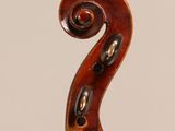 a close up of the back of a violin