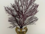 un vase contenant une plante rouge, posé sur une table