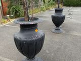 deux vases noirs contenant des arbres, posés sur un parking
