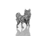 Photo 2/3 du lot