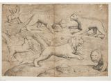 a drawing of a lion attacking a lion in a field
