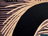 a picture of a painting of a bird on a black background