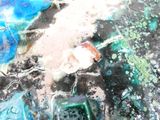 un oiseau posé par terre à côté d'une boîte