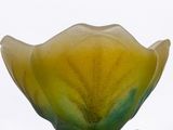 a glass vase with a yellow and green flower inside of it
