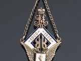 an image of a silver and blue badge hanging from a chain