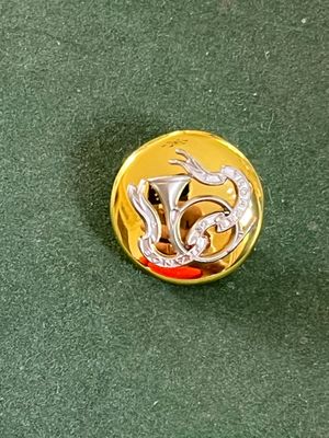 une broche en or et en argent ornée d'un dragon