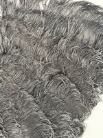 Plumes noires, Europe, vers 1890-1900 (photo 4)