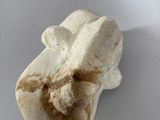 an image of a small white object on a white surface