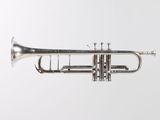 an image of a silver trumpet on a white background