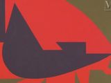 an image of a red and black bird on a green and red background