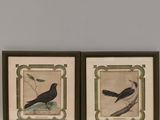 deux photos encadrées représentant des oiseaux perchés sur une branche, accrochées au mur