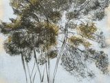 un dessin représentant un groupe d'arbres sur une feuille de papier