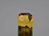 a close up of a bottle of wine on a table