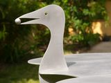 a bird that is sitting on a bowl in the grass
