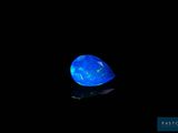 a blue oplite in the dark