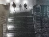 some people are walking up some stairs in the fog