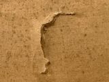a piece of cardboard with a hole in the middle of it