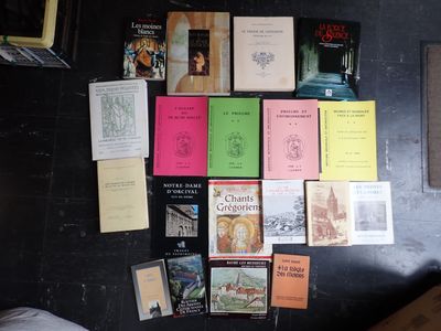 beaucoup de livres sur le mur à côté d'un lit