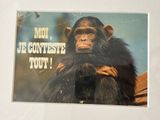 a picture of a picture of a chimpan on the wall