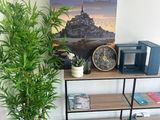 a plant that is sitting on a shelf next to a clock