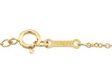 a close up of a gold chain with a key on it