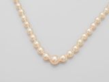 a single strand of pearl necklace on a white background