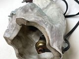 a lamp that is sitting inside of a shell