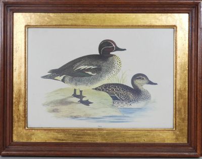 tableau représentant un couple de canards, encadré et accroché au mur