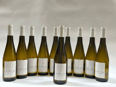 six bouteilles de vin sont alignées sur un fond blanc