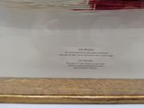 a picture of a picture of a red umbrella in a glass case