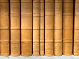 de nombreux livres sur une étagère dans une bibliothèque