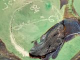 Photo 9/9 du lot