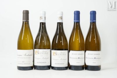 six bouteilles de vin sont alignées sur une surface blanche