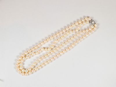 gros plan d'un collier de perles sur une surface blanche