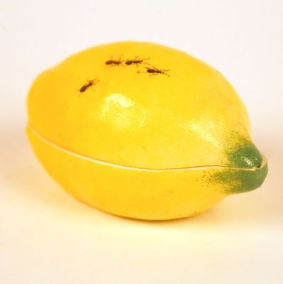 a yellow lemon with a green stem on a white surface