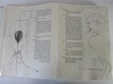 an open book with a drawing of a bird on it
