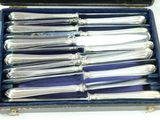 silverware in a blue case with a blue cloth lining