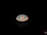 an oplite in the dark with its reflection on the surface