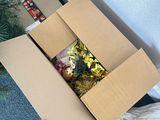 a man that is holding a box full of christmas decorations