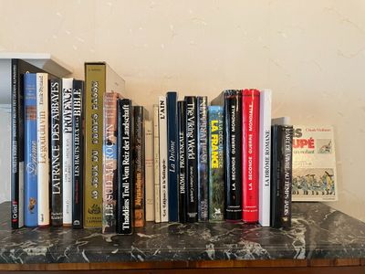 Ensemble de livres illustrés modernes sur le thème du région…